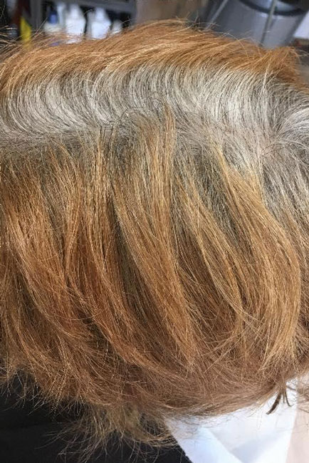 100 percent natural hair color - brown 3 before