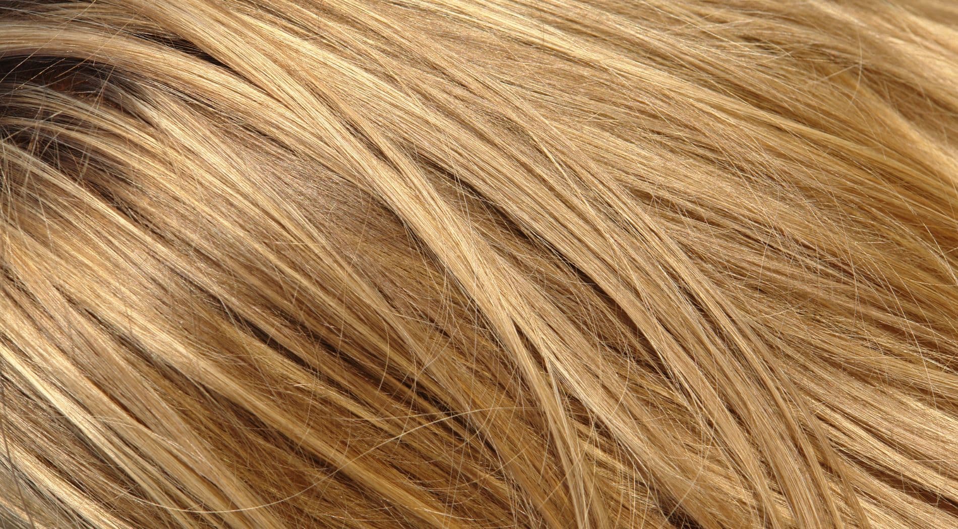 hairborist-coloration-blonde
