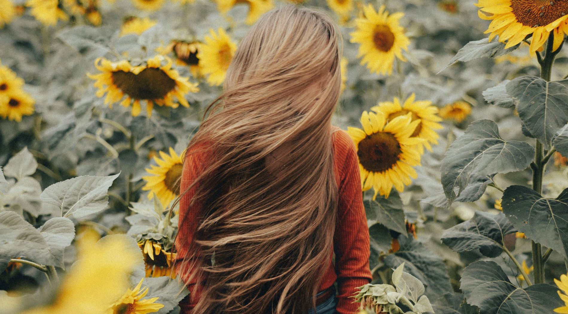 soin du cuir chevelu, le secret des cheveux en bonne santé